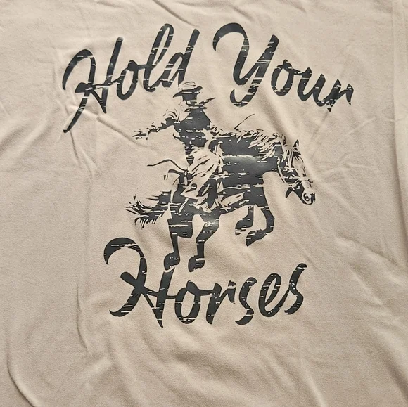 🌈 NWOT Hold Your Horses Cowboy 🤠 Print Oversized Tee - Picture 2 of 4